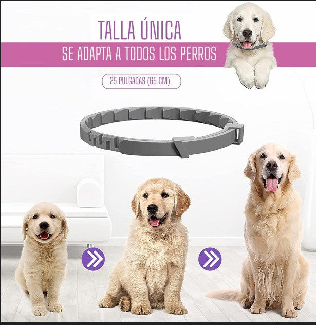 COLLAR ANTIPULGAS Y GARRAPATAS PARA MASCOTAS